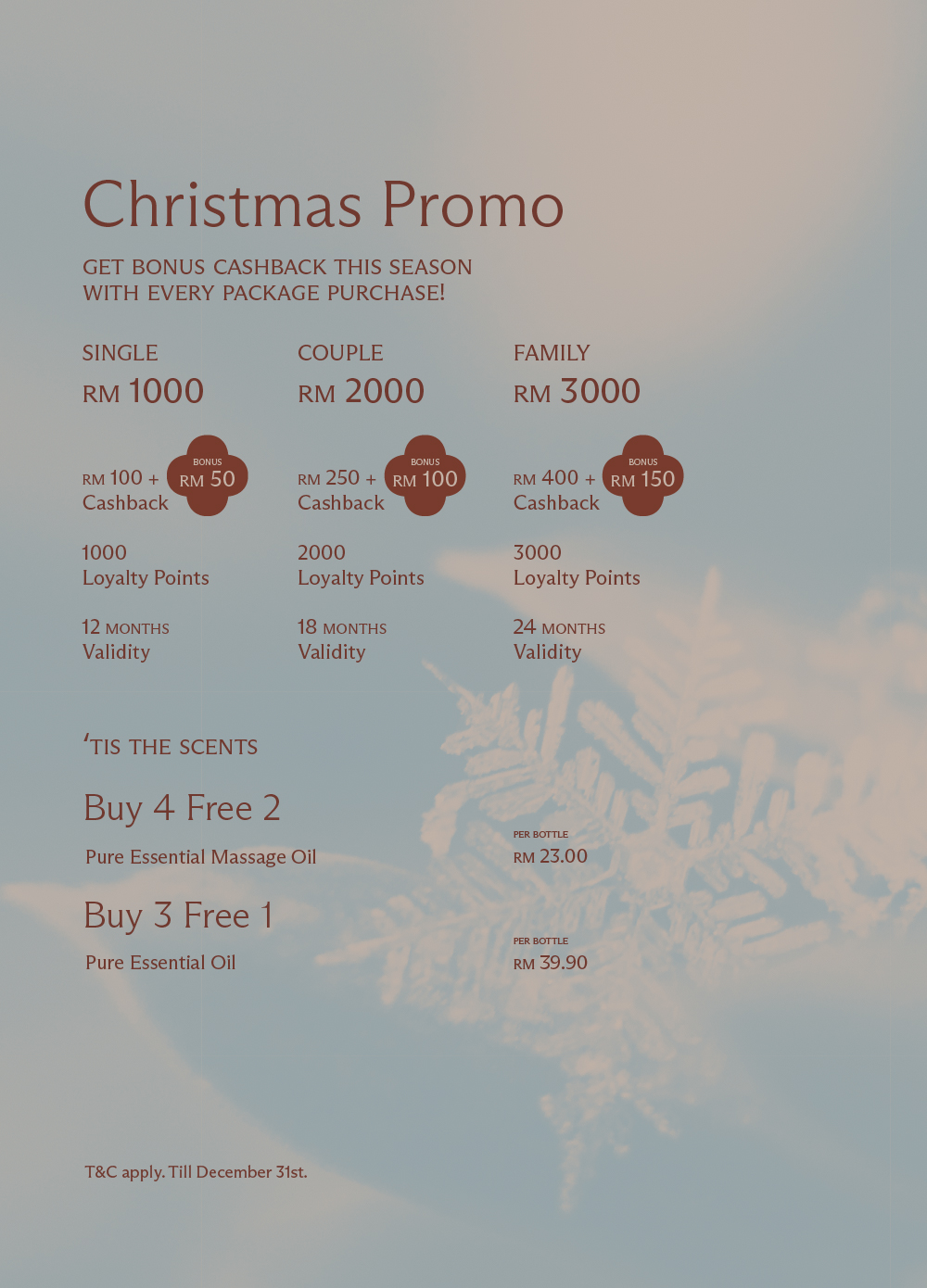 Christmas Promotion Banner